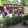 Das Bild zeigt den Freitag - Besuch im Hofer Zoo