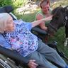 Das Bild zeigt den Montag - Ponys zu Besuch im Seniorenheim