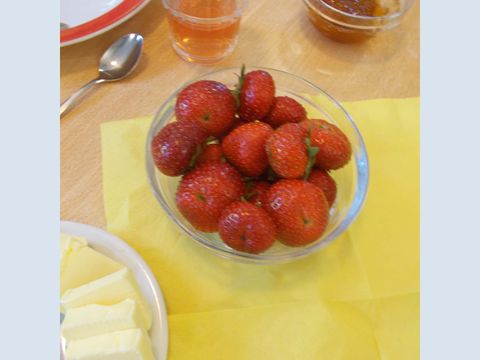 Das Bild zeigt ein Schüsselchen mit frischen Erdbeeren