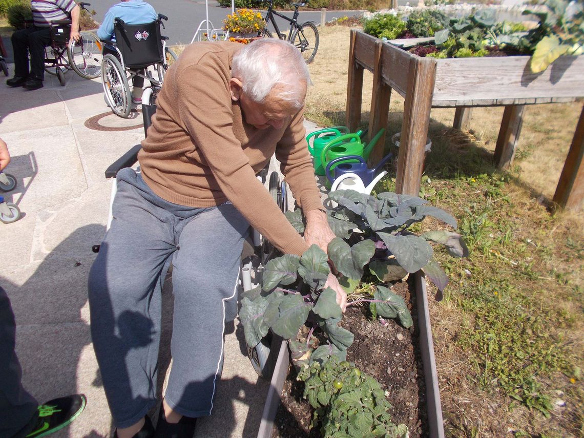 Das Bild zeigt einen Bewohner bei der Kontrolle des Gemüses
